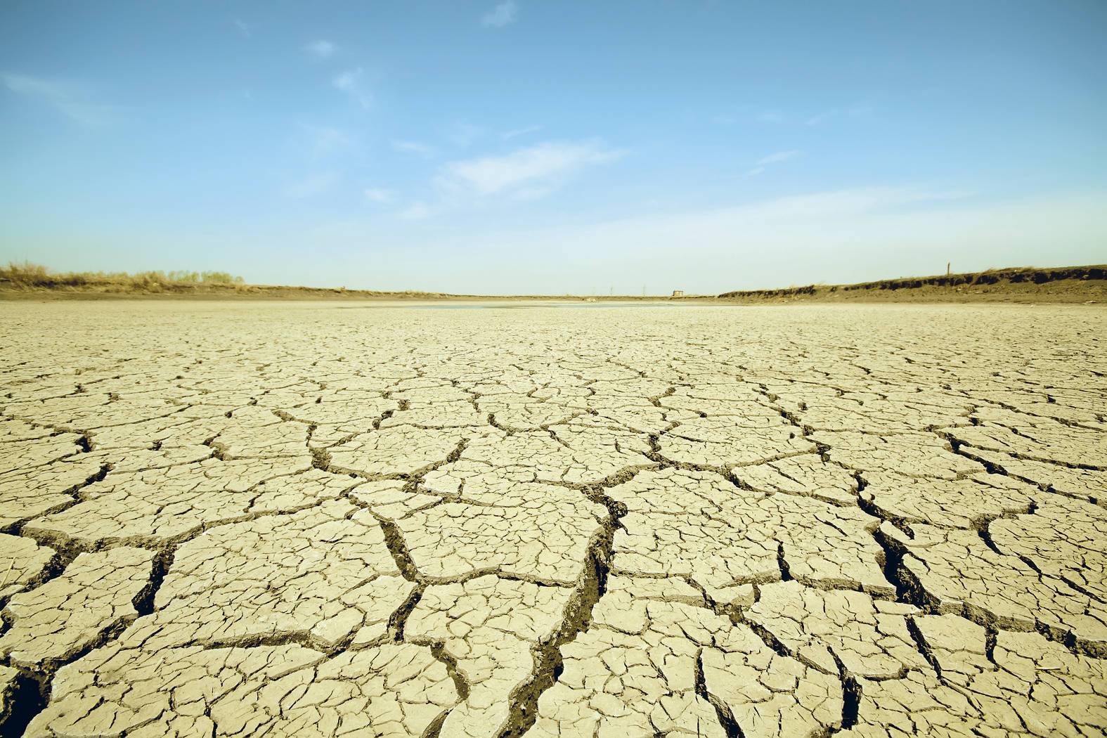 Problemele agriculturii in 2020 – desertificarea
