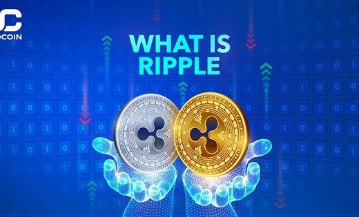 Ce este Ripple?